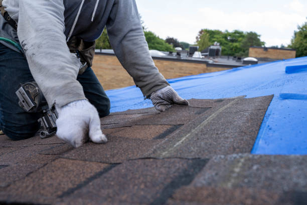 Best Roof Leak Repair  in Lincoln, AL