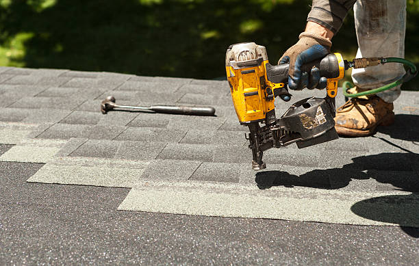 Best Roof Gutter Cleaning  in Lincoln, AL